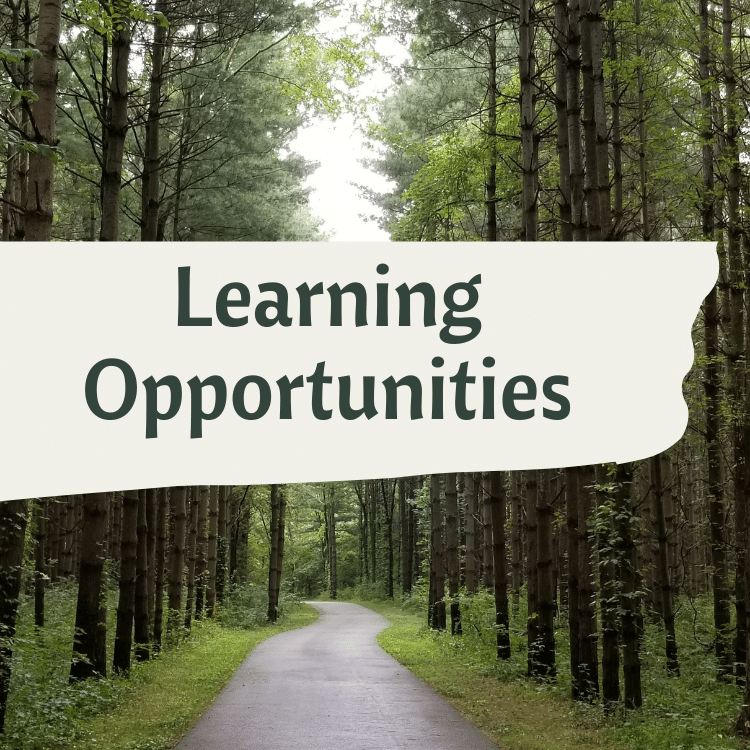 adult learning opportunities