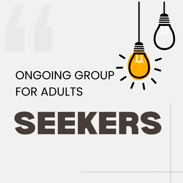 Seekers ongoing group adults